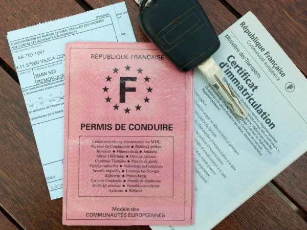 permis de conduire et carte grise