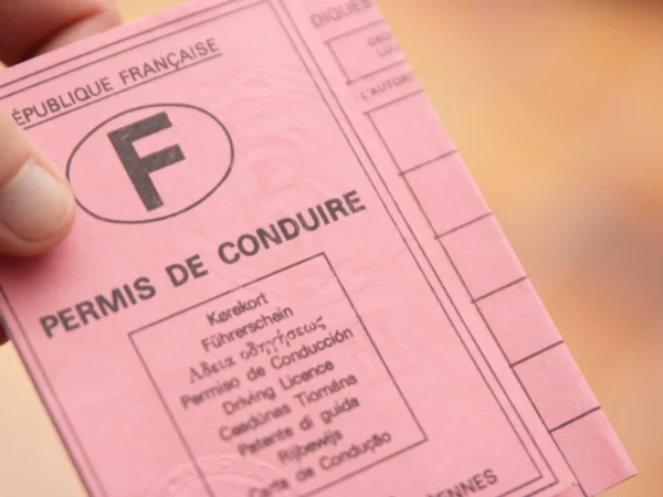 permis de conduire rose va disparaitre