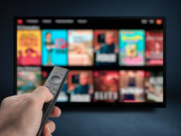 Netflix abonn&eacute;s