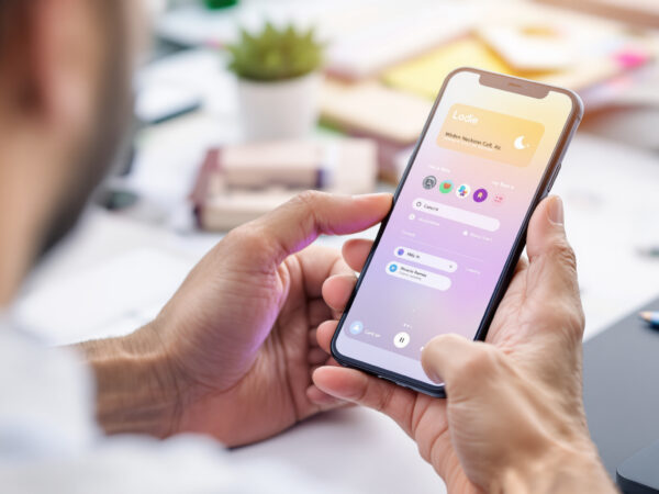 declaration_mobile_administration2025