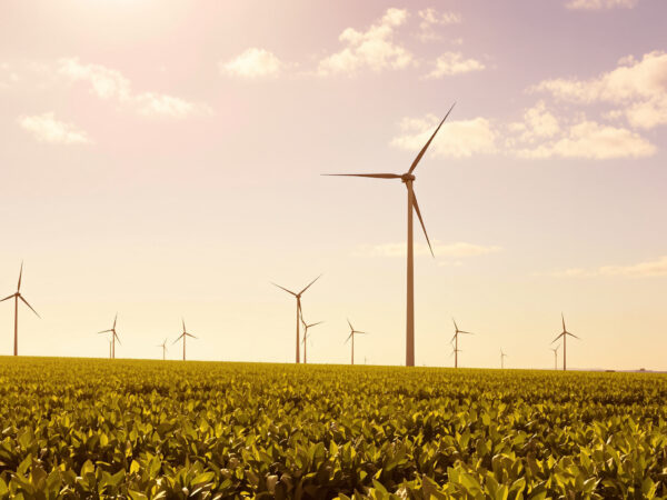 parc_eolien_transition_energetique