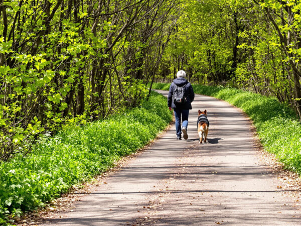 PromenadeForesti&egrave;reAttach&eacute;e