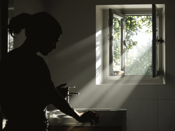 silhouette-ventouse-toilette