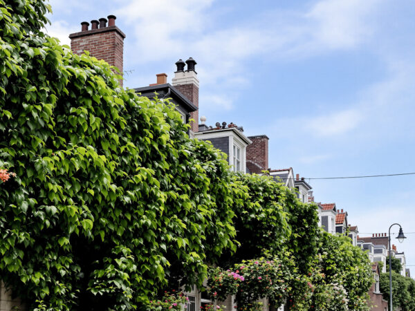 stabilisation_immobiliere