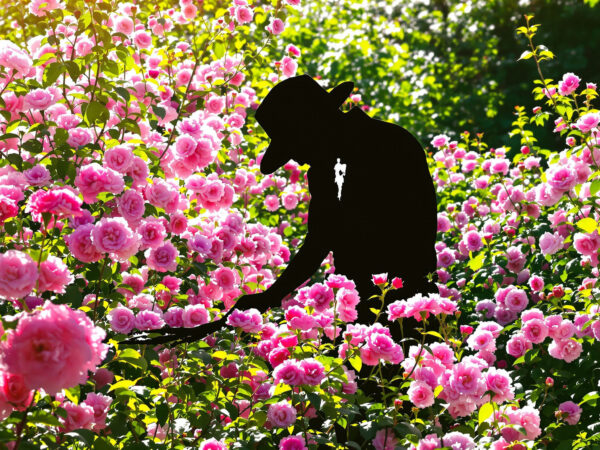 Taille_de_printemps_dans_un_jardin_fleuri