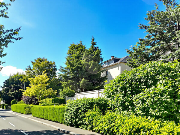 Villeurbanne_maisons_jardins_ensoleill&eacute;s