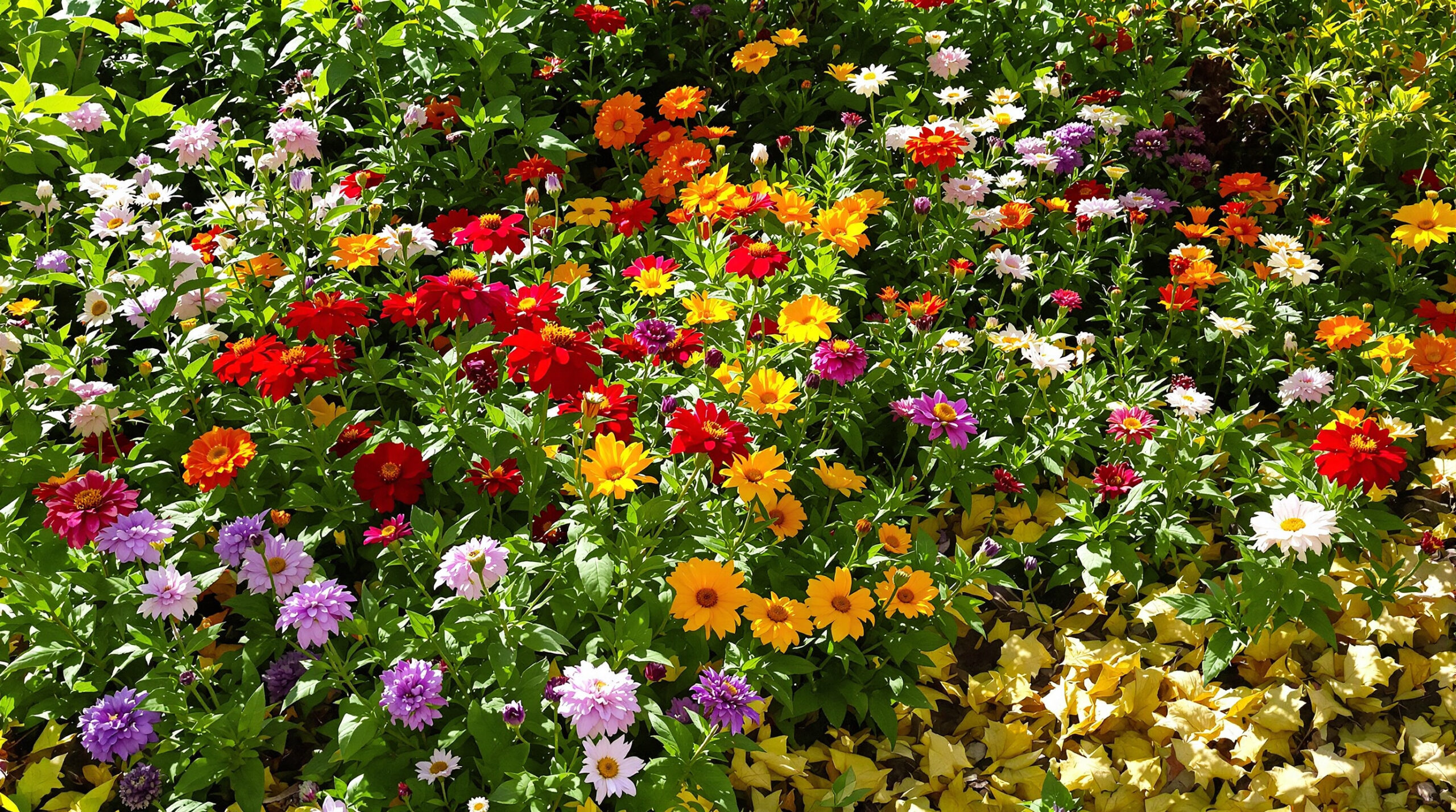 Jardin_Naturel_Vari&eacute;