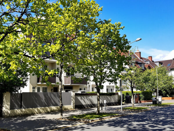Mulhouse_immobilier_2026