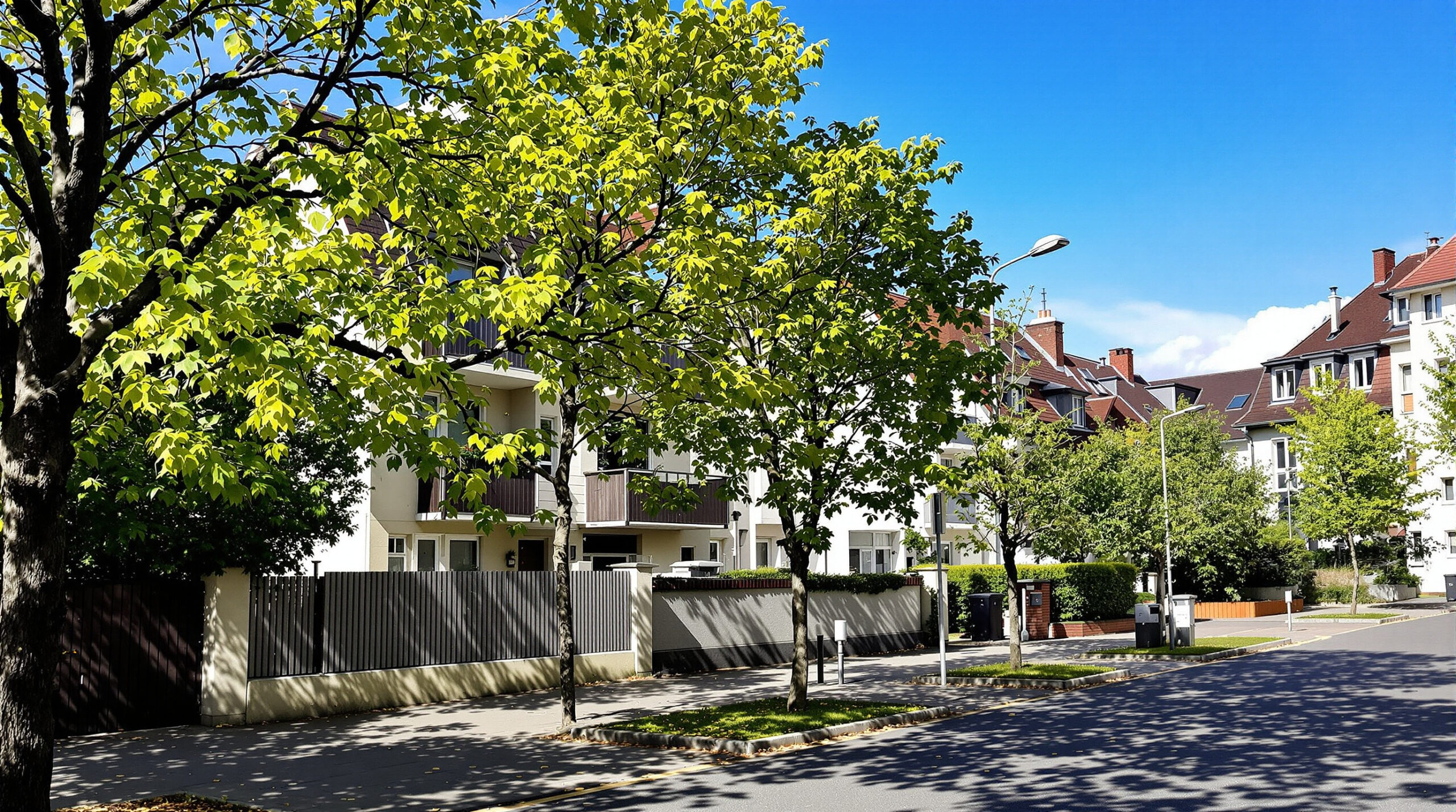 Mulhouse_immobilier_2026