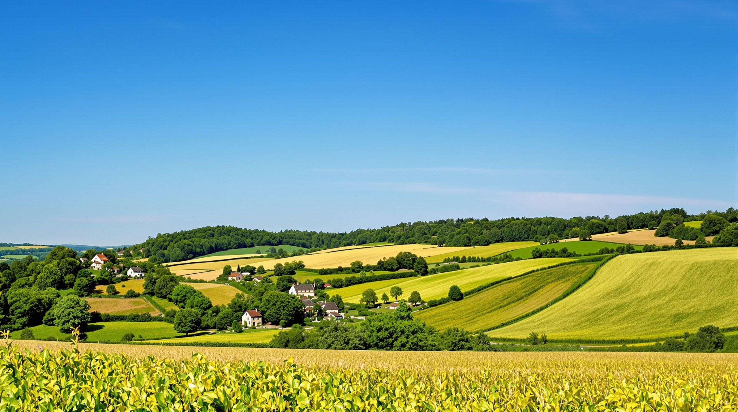 paysage_rural_dordogne