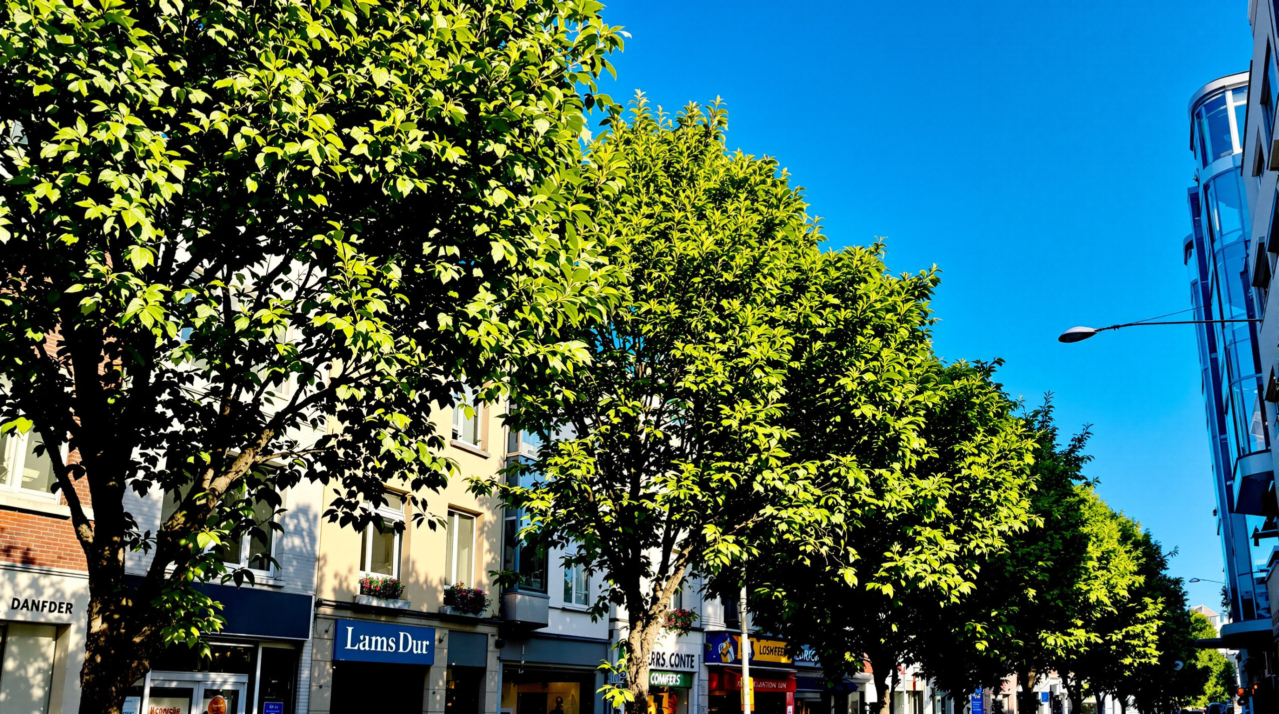 rue_immobili&egrave;re_mans
