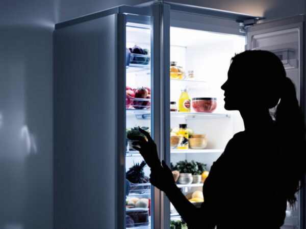 vigilance_frigo_silhouette