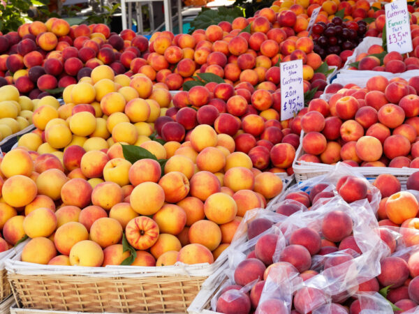 &eacute;talage_fruits_bio_plein_air
