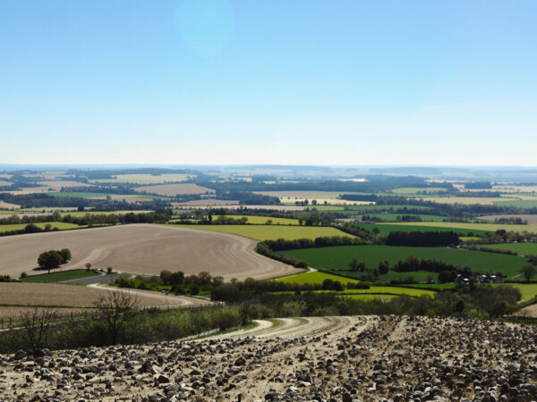 impact-chaleur-terre-asséchée