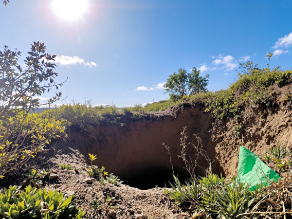 inspection_fosse_septique_terrain