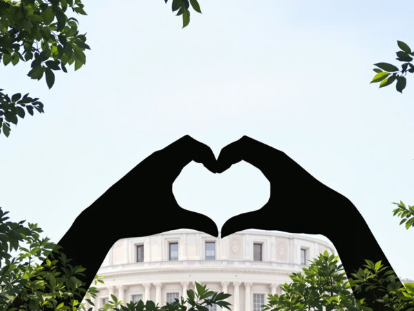institut_senat_patrimoine.png
