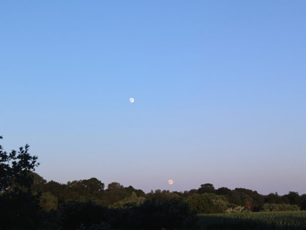 nouvelle_lune_renouveau.jpg