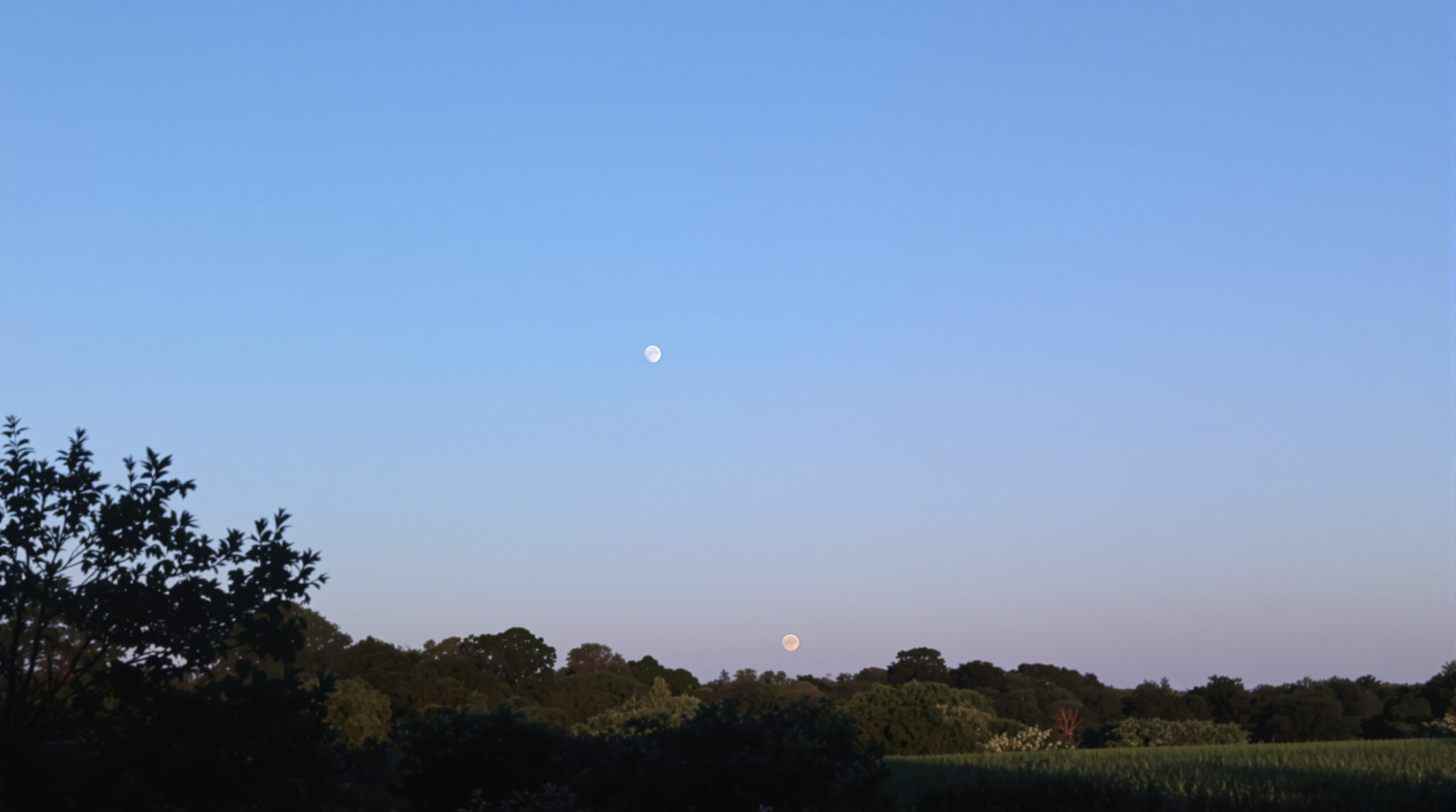 nouvelle_lune_renouveau.jpg