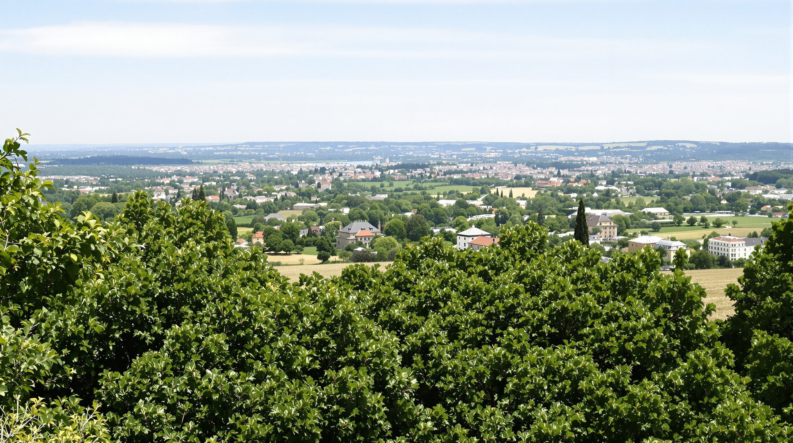 Propri&eacute;t&eacute;s_Yvelines_lumineuses