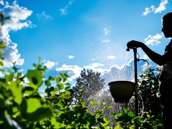 recuperation_eau_pluie_jardin.