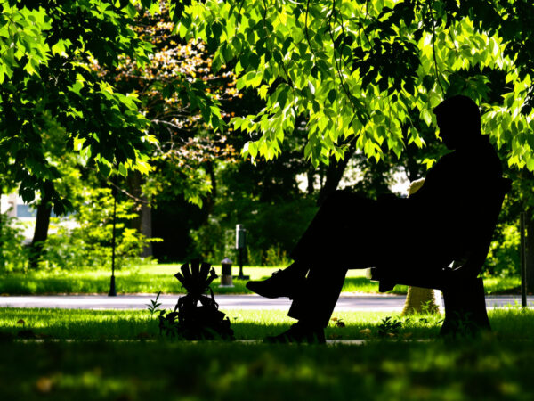 r&eacute;flexion_parc_personne_banc