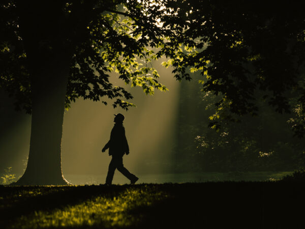 Retrait&eacute;_parc_promenade