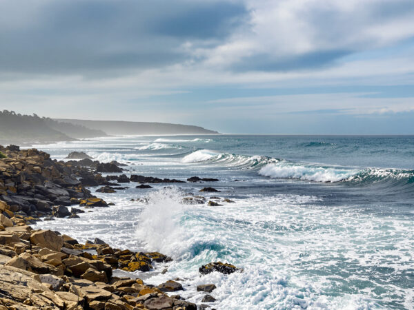 vent_c&ocirc;te_mer