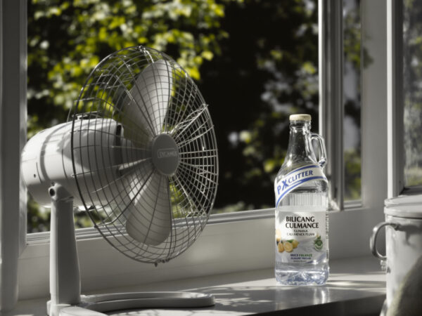 ventilateur_fra&icirc;cheur_naturelle