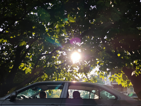 Auto_ombre_&eacute;t&eacute;