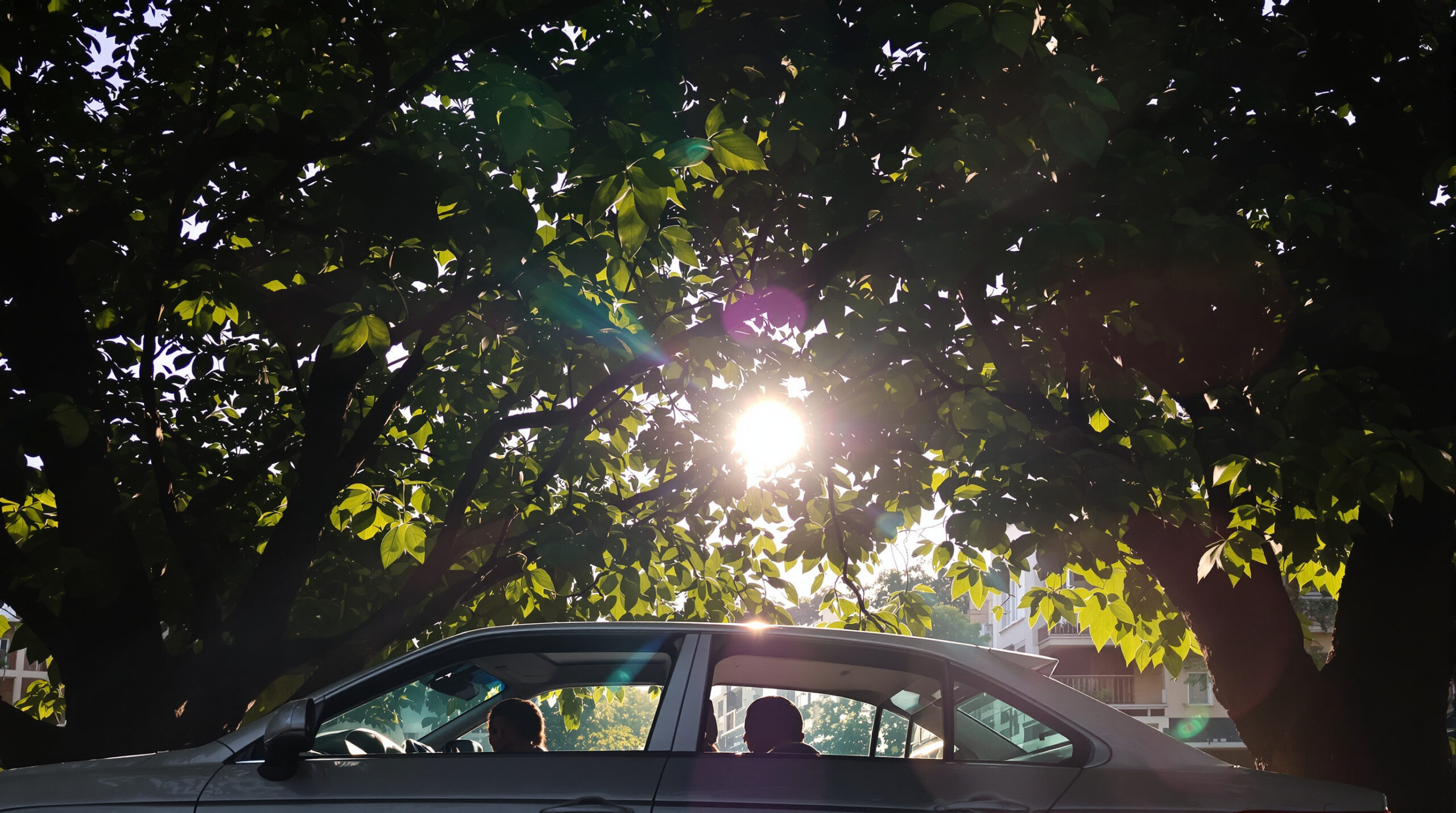 Auto_ombre_&eacute;t&eacute;