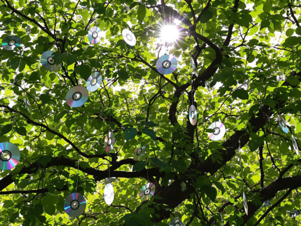 Barri&egrave;re lumineuse naturelle.