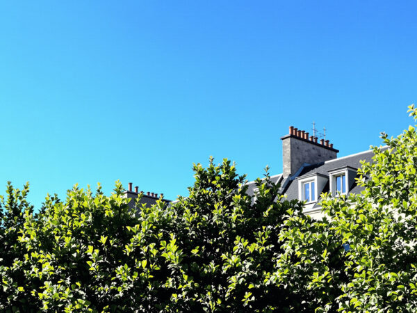 maisons_entrelac&eacute;es_ville