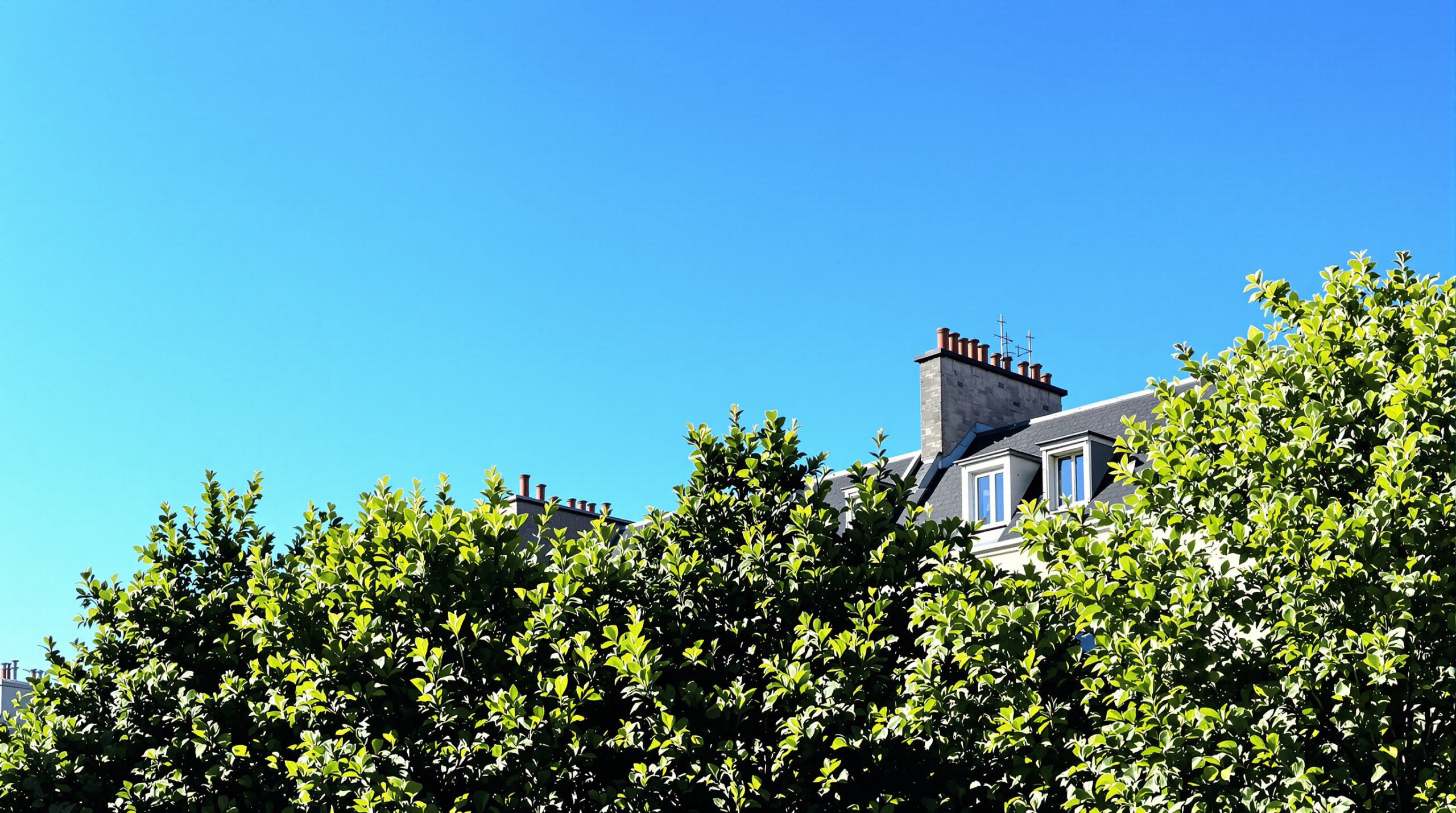 maisons_entrelacées_ville