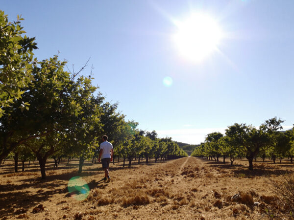 paysage_secheresse_vallee_sud-est