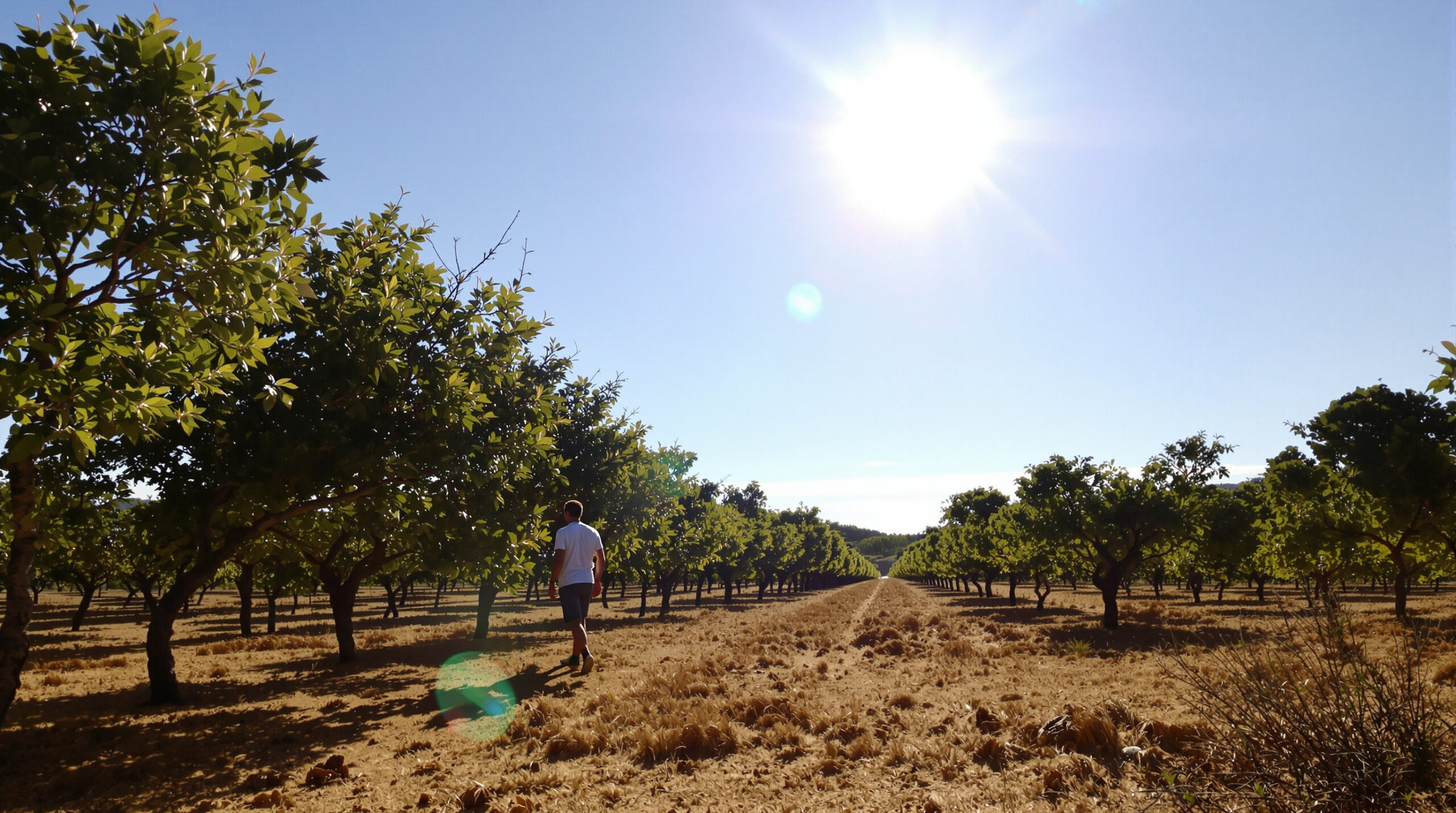 paysage_secheresse_vallee_sud-est