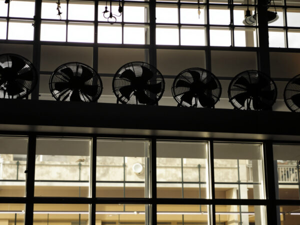 rayon_ventilateurs_magasin