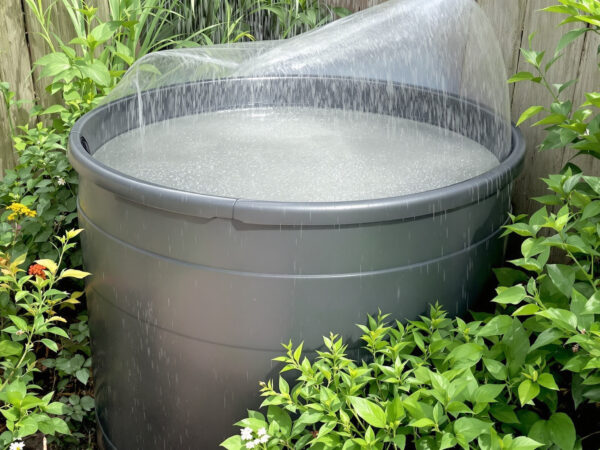 r&eacute;cup&eacute;ration_eau_jardin
