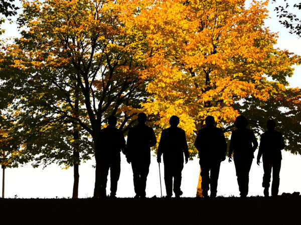 Retraites_automne_parc