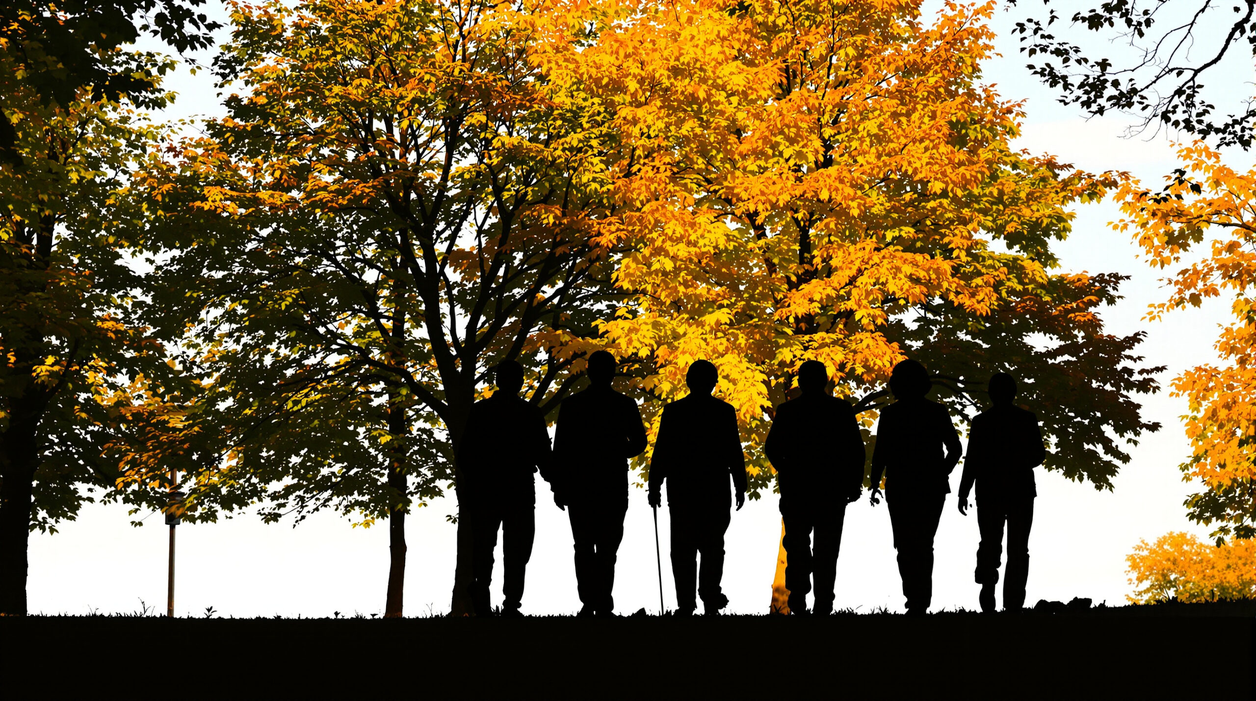 Retraites_automne_parc