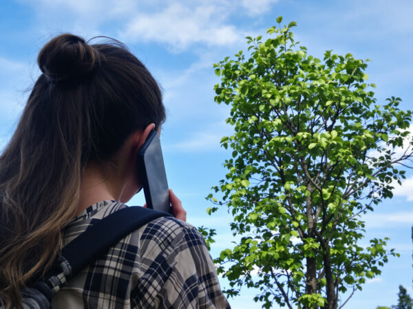 vigilance_mobile_utilisateur.jpeg