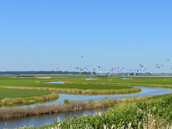 biodiversit&eacute;_europ&eacute;enne