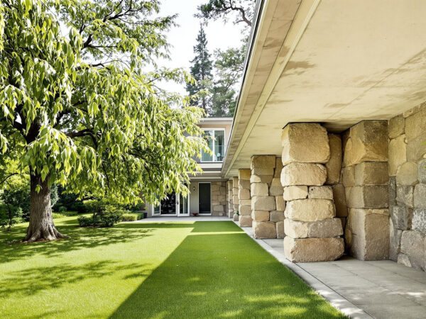 fondations_fissur&eacute;es_arbres