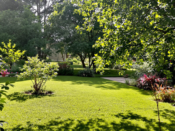 jardin_boise_lumineux