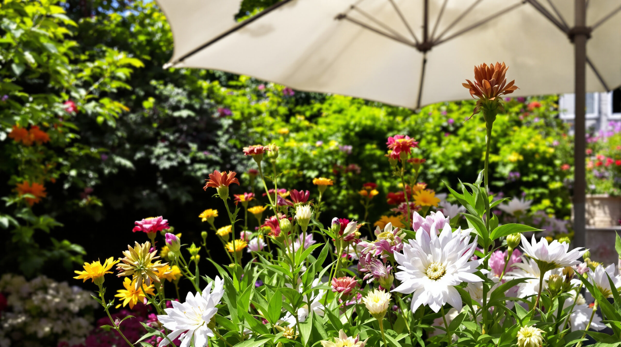jardin_ombre_parasol_hortensias