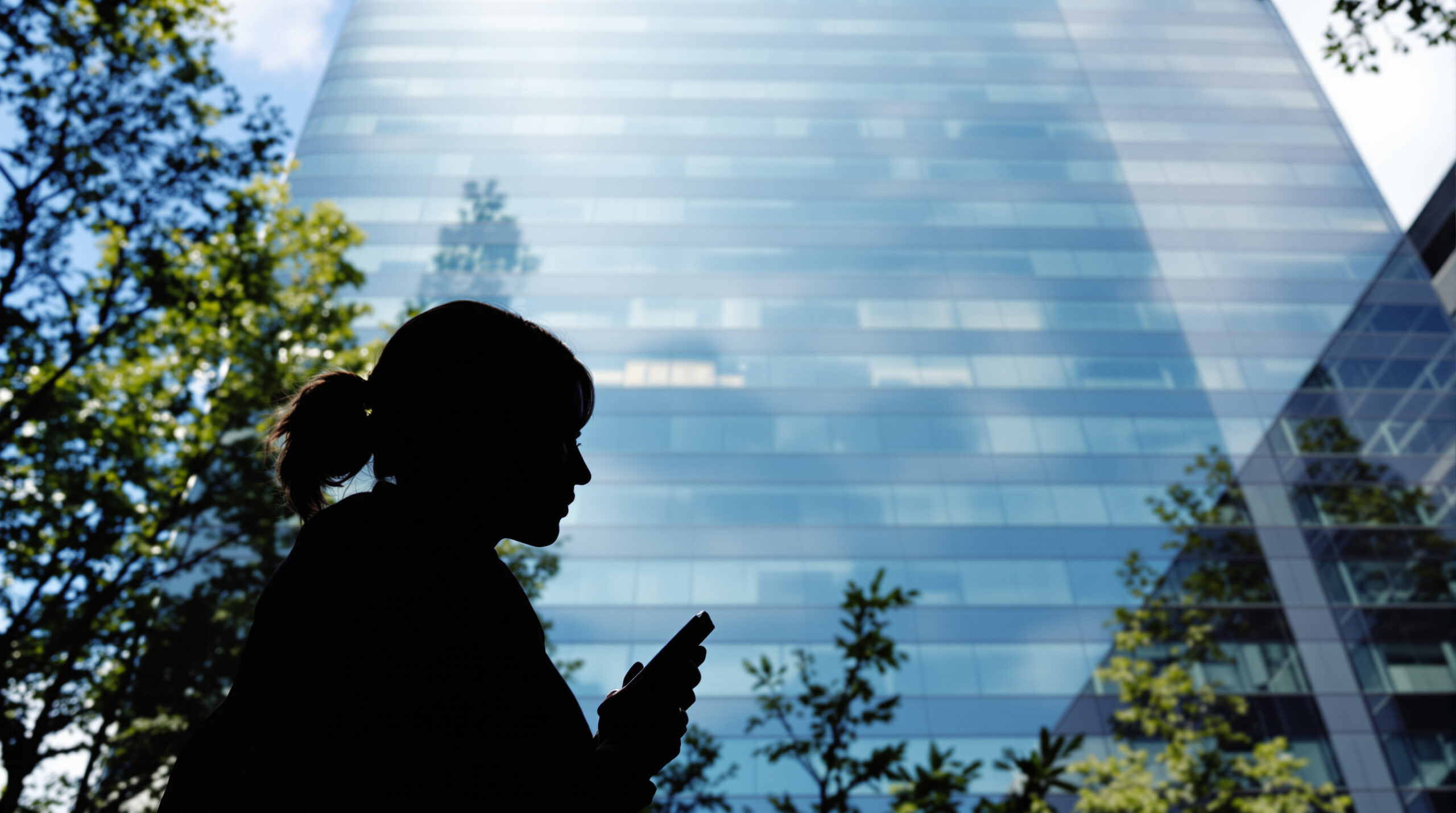 modern_financial_avenue_silhouette
