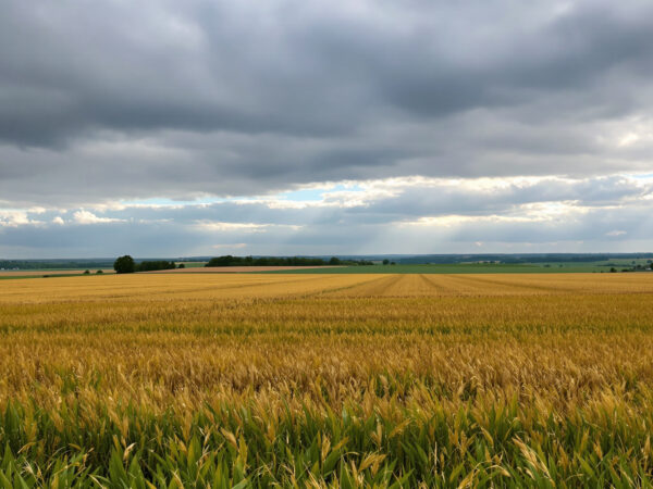 paysage-orage-2026