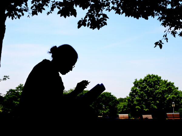 silhouette-lecture-parc-finances