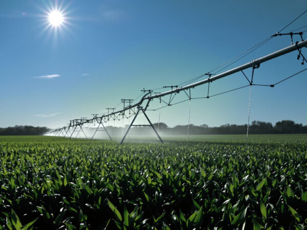 adaptation_agricole_soleil