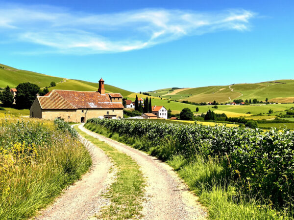 Campagne paisible
