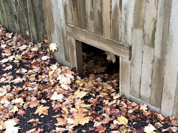 Passage_jardin_h&eacute;risson_automne